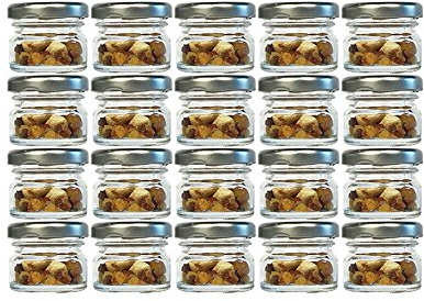hocz 20er Set Sturzgläser Mini Gläser | Füllmenge 30 ml | Deckelfarbe Silber | To 43 Rundgläser Marmeladengläser Obstgläser Einweckgläser Honig Gläser Einmachgläser Probiergläser, Imker