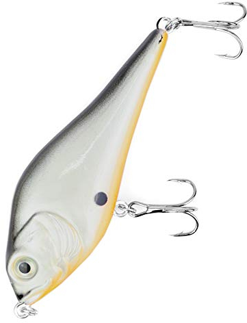 Major Fish Medium Jerk Jerkbait 10 cm Hecht Wobbler Kunstköder zum Hecht Angeln Nature Dot