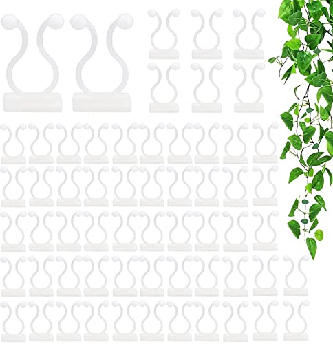 Clips para Planta Escalada, 60 Autoadhesivo Clips de Soporte de Plantas, Tutores para Plantas, Clips de Fijación de Plantas Trepadoras para Vid Verde, Decoración de Plantas Pared, Ganchos de Planta