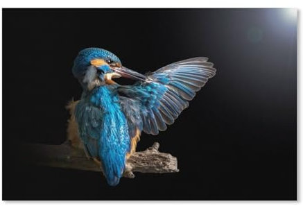 PGCKSK DIY Full Diamond Paintings,Eisvogel,Round Crafts By Number Strass Art Kits Wall Decor Home Gifts(50x60cm)-A89