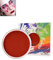 Face Paint 30g Pintura Corporal rojo al Agua Maquillaje Profesional Face painting, Pintura Corporal Teatral Segura Lavable para Halloween Carnaval Cosplay Navidad Fiesta Maquillaje