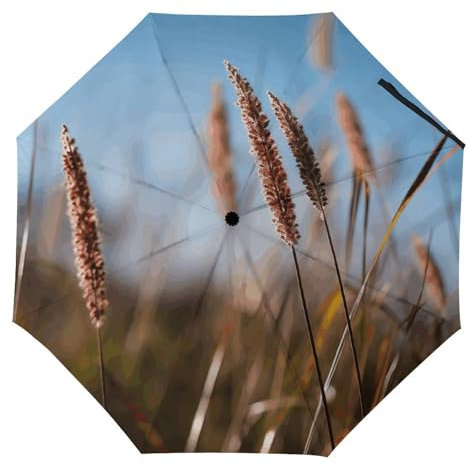 KLSVTMEA Cute Parasol, Autumn Grass Printed Umbrella For Women Men, Automatic Folding Umbrella Is Suitable For Travel, Work, And Daily