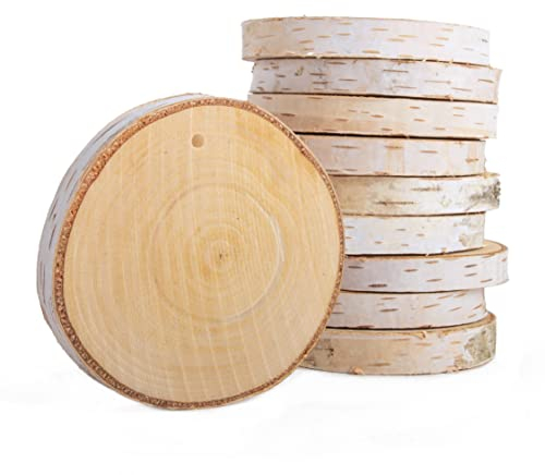 Baumscheibe aus Birkenholz rund Ø 10-15cm und Loch zum Aufhängen | unbehandelte Holzscheibe aus deutscher Forstwirtschaft für Floristik, Basteln, Tischdeko, Vintage-Girlande u.v.m. (10 Stk.)
