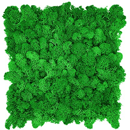 GJS Moosbild – Moosmatte/Moosplatte (25x25cm) aus echtem Islandmoos für Mooswand/Pflanzenbild/Deko-Paneele zum Basteln/selber Machen (waldgrün)
