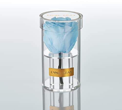EG EMMIE GRAY Crystal Infinity | Acryl | – Traumhafte Infinity Rose, 1-3 Jahre haltbare Rose, Acrylgefäß mit echter, konservierter Rose, edle Premiumrose (Baby Blue)