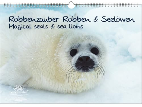 Robbenzauber DIN A3 Immerwährender Kalender Robben und Seelöwen - Seelenzauber