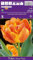 AGRONOM | TULPEN - MONTE FLAME | Mehrjährige Blumenzwiebeln | Orange Blumen | Werden in Blumengärten, in blühenden Rasenflächen gepflanzt | Die herrlich Blüten | Tulpenzwiebeln | 5 Blumenzwiebel