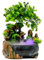 MINRS Zimmerbrunnen Wasserfall, Grüne Pflanze Brunnen Tischbrunnen mit Led Beleuchtung und Zerstäuber Zimmer Tisch Springbrunnen Wasserfall Ür die Platzierung In Wohnzimmer Büro 20 x 15 x 28 cm
