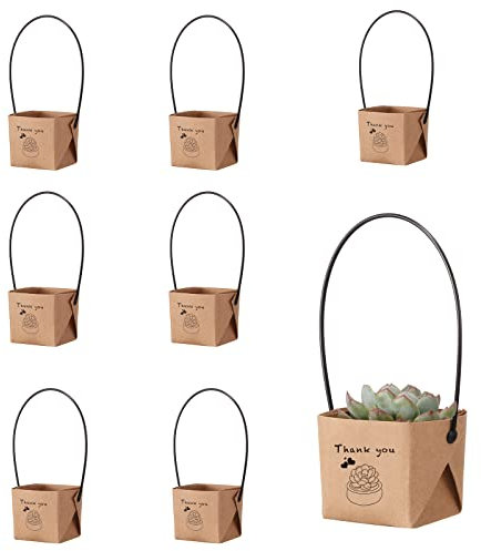 NITHECON 40 Stück Dankeschön-Sukkulenten-Wraps [Pflanzen und Töpfe nicht im Lieferumfang enthalten] [passend für 5.1 cm große Töpfe] Sukkulenten-Geschenkverpackungen, Gastgeschenke, Kraftpapier
