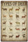 SUPERDANT Types of Deer Vintage-Blechschild, rustikales Vintage-Poster, Retro-Metallposter, Wandkunst-Schild, Vintage-Bauernhaus-Dekor für Bauernhof, Restaurant, Küche, Retro-Metalldekoration,