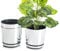 KORAD Ensemble de 3 Pots avec Soucoupe d'un diamètre de 21 cm, Motif 016 - Argent Miroir ; Glamour ; Moderne, Haute Brillance, Style Classique, Rustique, loft, pour Plantes, Herbes.