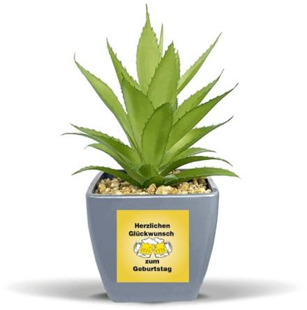 no/no German Toast Celebrating Birthday Fake Ananas Blumentopf Vase Mini Decor