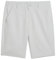 PUMA Mens Golf Tech 2.0 Woven Shorts, Ash Gray, 32 EU