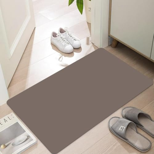 LYGLIGH Ultra Thin Door Mat Indoor Entrance, 1/10 in Thin Door Mats for Inside Entry, Non-Slip Rubber Backing Washable Doormat, Fade Resistant, Absorbent, Low Profile Dirt Trapper, 30X17, Brown