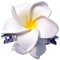 SEESTERN Bali Hawaii Pince à cheveux 2 fleurs de frangipanier en caoutchouc mousse Blanc