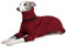 ESCCBOO Italienische Windhundkleidung, warmer Pullover für Whippets, Einteiler für Hunde, zweibeiniger Rollkragen, warmer Pullover für kleine mittelgroße Hunde (Größe S, Rot)