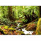 murando - Papier Peint Panoramique Adhésif Paysage 392x280 cm - Murale Autocollante Décoration - Vert jaune gris beige - Arbres jungle forêt feuilles nature plantes rivière cascade c-B-0536-a-a