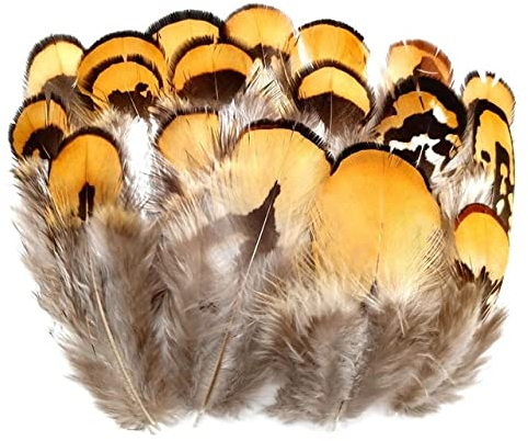 Natürliche Pfau-Fasan-Feder-Strauß-Truthahn-Federn für Handarbeiten, Kopfschmuck, Kunsthandwerk, Dekorationszubehör, China, 3–7 cm, 50 Stück