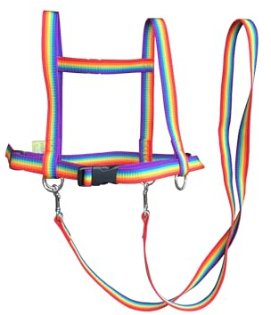 Jamso Design Pferdespielleine Regenbogen Pferdeleine Pferdespiel Pferdegeschirr für 2 Kinder Reiter und Pferd