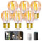 Aigostar Alexa Glühbirne E27， Smart LED Vintage Lampe， Smarte Glühbirne G45 Bernstein Globe， 4.5W 470LM， Warmweiß Dimmbar 2700K -6500K， Kompatibel mit Alexa und Google Home， 6 Stücke