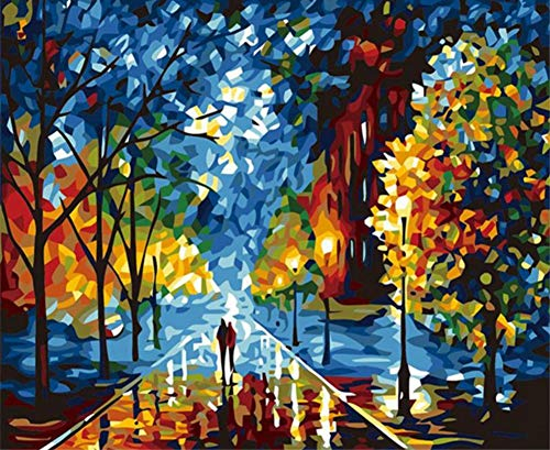 ABEUTY Malen nach Zahlen für Erwachsene und Anfänger, schönes und buntes Leben, 40,6 x 50,8 cm, Anti-Stress-Spielzeug (Holzrahmen)