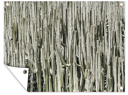 MuchoWow Outdoor-Poster Poster Wanddeko draußen Deko Garten Gartenposter 80x60 cm Kaktus - Natur - Sukkulenten