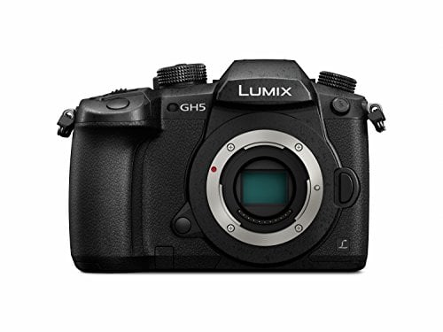 Panasonic Lumix DC-GH5 - Cámara EVIL de 20.3 MP, Pantalla de 3.2, Visor OLED, Estabilizador Dual I.S. 2 5 Ejes, 4K, Wi-Fi, Bluetooth