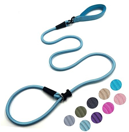 Slip Lead Dog Leash Strong Nylon Rope Leash with Comfortable Handles and Walking Training Lead for Small Medium Large Dogs (Light Blue, 1/2×6ft)