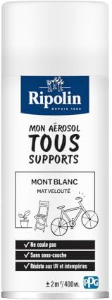 RIPOLIN, Solution Vélo, Aérosol Peinture, Finition Mate, Format Spray pour