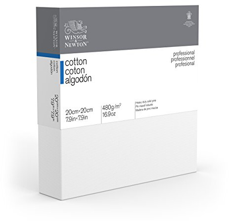 Winsor & Newton 20 x 20 cm Professional Cotton Deep Edge Canvas