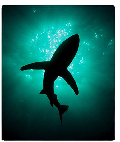 YISUMEI Decke Hai Kuscheldecken Weich Flanell Fleecedecke Bettüberwurf(125x150cm)