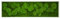 Moosbilder, Moosbild, Pflanzenbild mit Kugelmoos und Flachmoos 140x40 cm mit Vollholzrahmen weiß Wanddeko Bilderrahmen Bilder Wandbilder Wandbild mit Moos Mooswand Deko Geschenk Moss