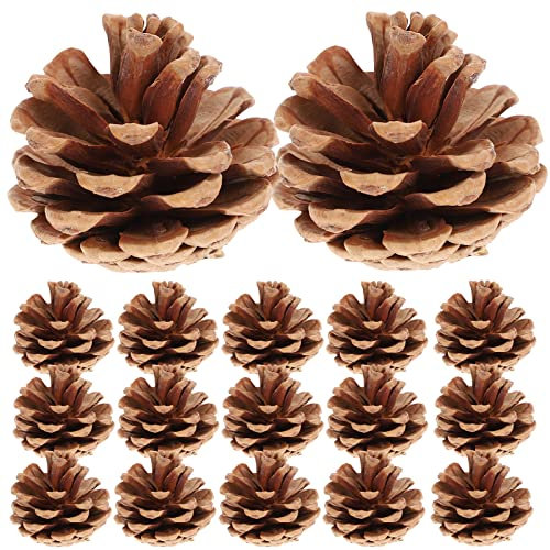 Rosenice Weihnachtskegel mit Verzierung, 48 Stück, natürlich, getrocknete Spitzen, Weihnachten Dekoration (Brown)