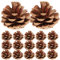 Rosenice Weihnachtskegel mit Verzierung, 48 Stück, natürlich, getrocknete Spitzen, Weihnachten Dekoration (Brown)
