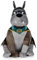 DC Comics Super Pets- DCP021 Plüschfigur – 25 cm – Ace Le Bat Hund