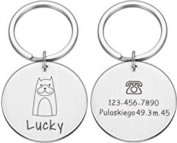Personalised Funny Pets Dog ID Tag Pet Name Collars Engraved Dog Cat ID Tags Collar Cats Dog Accessories Products,Silber,20 X 20 Mm