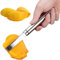 Tioheam Mango Corer Peeler, Mango Cutter Fruit Slicer Tool, Mango Slicer with Ergonomic Handles, Kitchen Gadget for Kitchen Camping Picnic