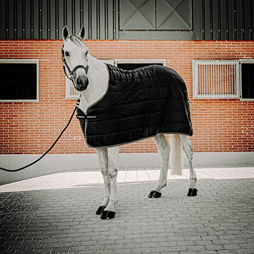 SUNRIDE Unterdecke 150g für Pferde - flexibel kombinierbar mit unseren Winterdecken und Regendecken (165 cm)