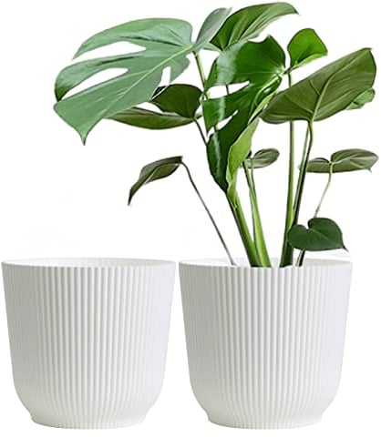 Olly & Rose Oxford, Vaso per piante, in plastica rinforzata, confezione da 2, per interni ed esterni, per giardino e casa, vasi per piante in resina temprata (bianco, 22 cm)
