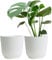 Olly & Rose Oxford Plant Pot Planter Plastic - Pack of 2 - Indoor and Outdoor Flower Pots for Garden and Home - Toughened Resin Plant Pots (White, 22cm)