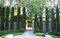 cipresso italiano (Cupressus sempervirens) 10 Semi, toscana, o Cimitero Cypress