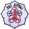 Jiu Jitsu Aufnäher (8,9 cm) bestickt zum Aufbügeln / Aufnähen Abzeichen Japan Kanji Text BJJ Kimono GI DIY Geschenk Patches