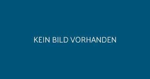 Allzweckwagen | Profi Gitterwagen in Industriequalität | Einkaufswagen, Transportwagen