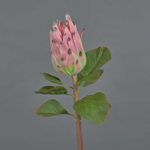 artplants.de Unechte Protea SHUHUI, pink, 60 cm - Künstliche Stielblume