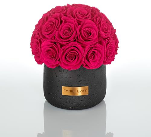 EG EMMIE GRAY Black Solid Infinity Collection - Traumhafte Infinity Rosen, 1-3 Jahre haltbare Rosen, Betonvase mit echten, konservierten Rosen, edle Premiumrosen - Größe M (Hot Pink)