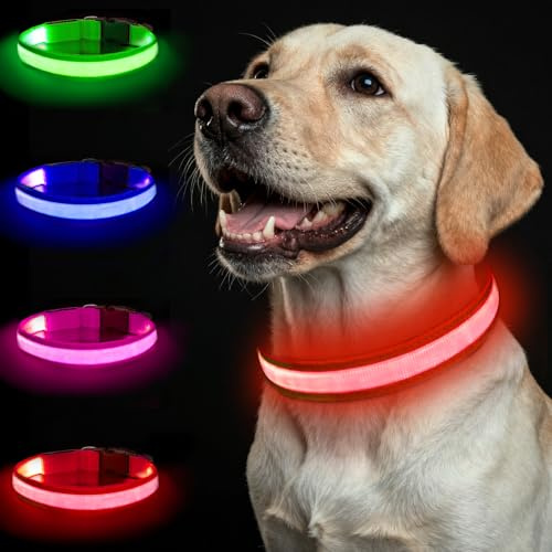 Nepfaivy Leuchthalsband Hund USB Aufladbar - Hundehalsband Leuchtend mit Verstellbarer Länge für Mittelgroße bis Große Hunde, LED Halsband Hund mit 3 Beleuchtungsmodi für Nacht Sicherheit, (Rot-M)