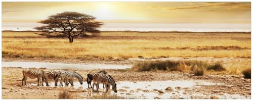 Wallario Küchenrückwand selbstklebend 115 x 50 cm, Motiv: Safari in Afrika eine Herde Zebras am Wasser | Spritzschutz abwischbar & pflegeleicht