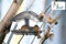Prosperplast Vogelhaus Birdyfeed Square Vogelfütterungsstation Vogel-Futterstelle Futtertrog Anthrazit