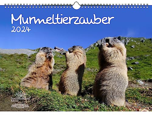 Murmeltierzauber DIN A3 Kalender für 2024 Murmeltier - Seelenzauber