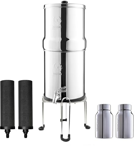 PHOENIX GRAVITY 6-Litre NSF Certified AISI 304 Stainless Steel Water Filter with 2 Smart Carbon (Black) Filters, 2 POSTreat Steel Fluoride Removal Elements, Free Steel Stand & Water Tap (6 L)